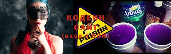 ешки Инта