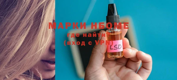 ешки Инта