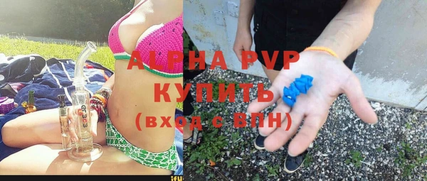 ешки Инта