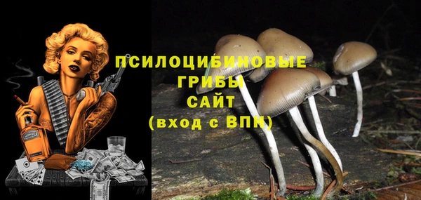 ешки Инта