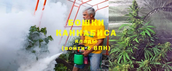 ешки Инта
