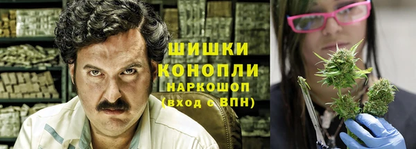 ешки Инта