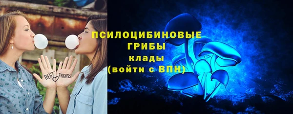 ешки Инта