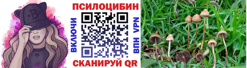 Псилоцибиновые грибы MAGIC MUSHROOMS  Купить закладки  Заволжск 